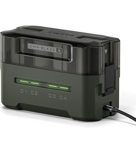 Panasonic LUMIX SZ5 稼働品　充電器、SDカード付き Amazon | パナソニック(Panasonic) DMW-BTC15 LUMIX バッテリー